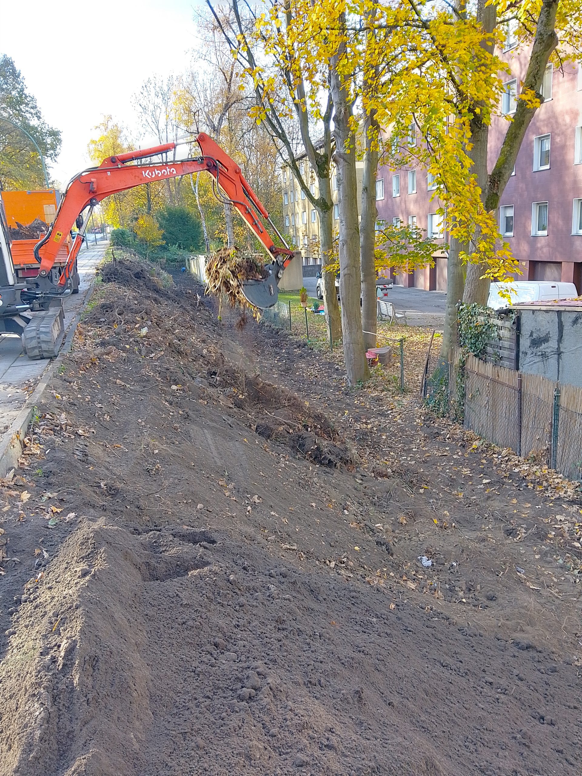 Rodungsarbeiten Straßenbegleitgrün