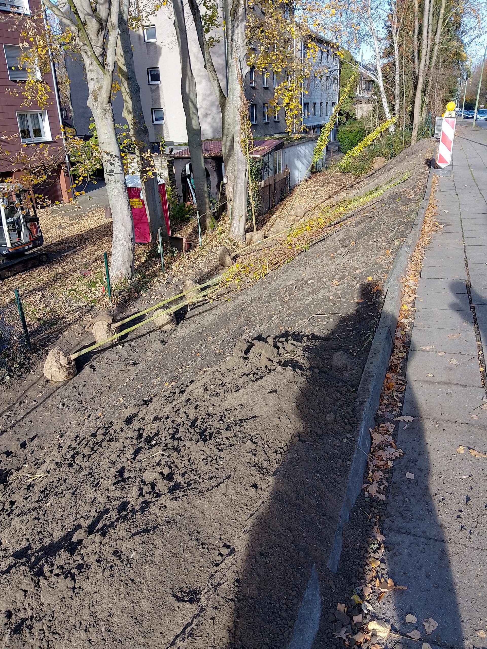 Böschungsbepflanzung Straßenbegleitgrün